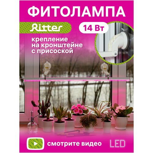  1860        Ritter 56301 3, 14, 8722132. C 5 LED ,  , .  ,  2.
