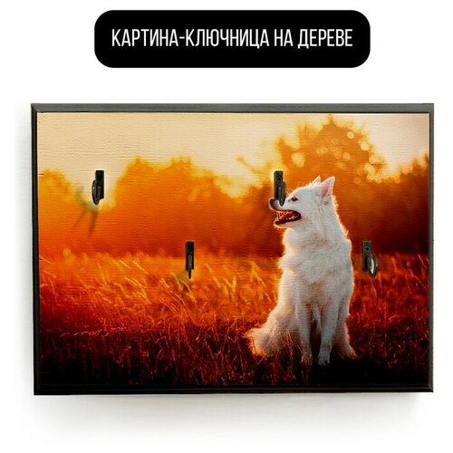 ������ 590� �������� ��������� ���������� 20x30 �� ������� - 177 �