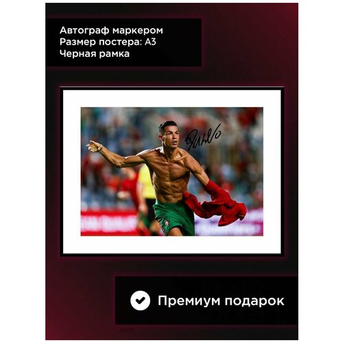 ������ 2209� ������ � ���� � ���������� ��������� �������, ������, ���� ���������, �3, ������ ����