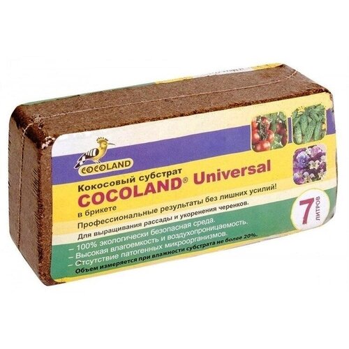  495   650 (7)  () COCOLAND Universal