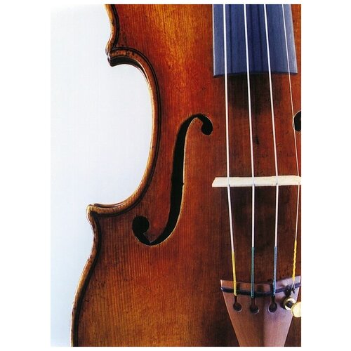  2480     (Violin) 2 50. x 68.