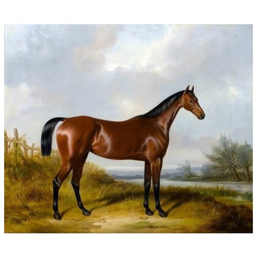  1130     (Horse) 4 36. x 30.