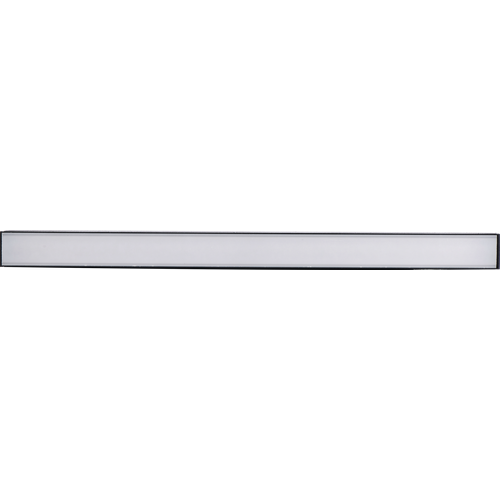  2480 Neylight       NL20-DFS-30-W