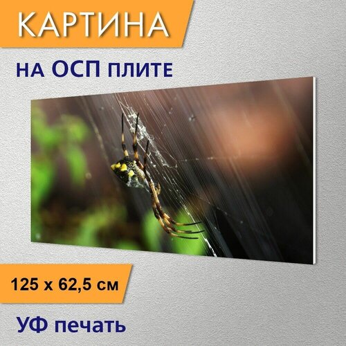������ 2950� �������������� ������� 