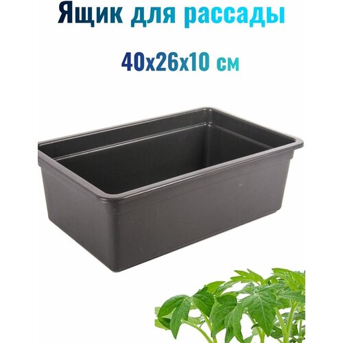 ������ 303� ���� ��� ������� ������-4, ������ 40�26�10��, ����������� �������, �� ������ ����� ����� ��� ��������, �� ����� �������� ���� � ������.