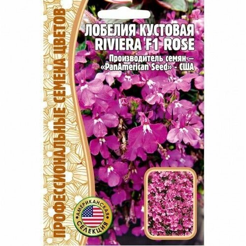  223  Riviera Rose  F1 / 5   1 /   