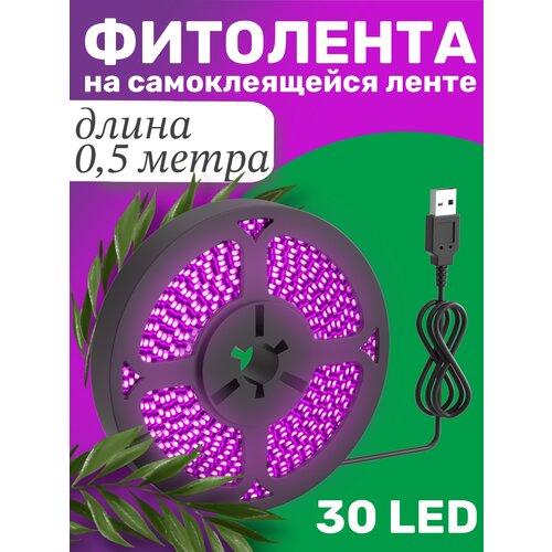  245    GSMIN B77      USB (5 , 30LED) (0,5 )