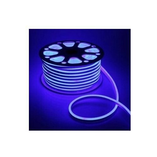  1200 PJ Neon,   ,    12      , 5, 612, 120 LED/m, IP 67,  