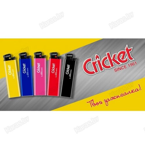  255    Cricket New Standart,  5 .