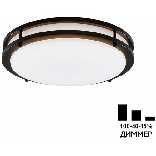  2990 Citilux  CL709205N LED    