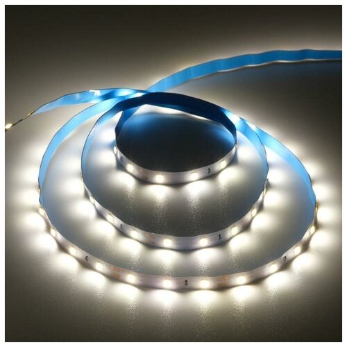  385   PRO 5 , IP20, SMD3528, 60 LED/, 4.8 /, 12 , 4200