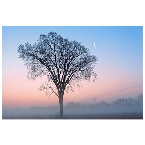  1340       (Tree in the fog) 45. x 30.