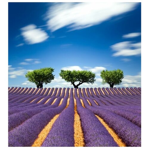  1070      (Lavender field) 2 30. x 33.