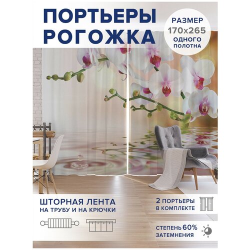 ������ 4749� �����, ��������� JoyArty 