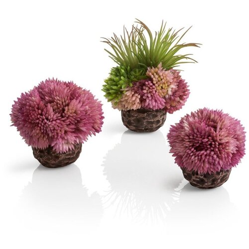  4232   3-   , Coral ball set purple