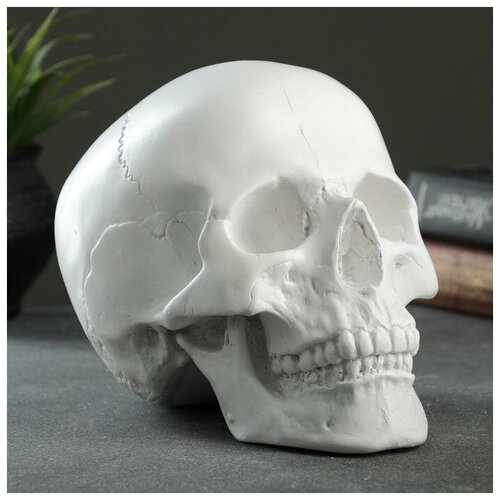 ������ 1517� ������� 