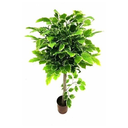 ������ 6300� ����� �-00-40-7 / ������������� �������� ��� ������ / ����� ��� ���� 1 �.