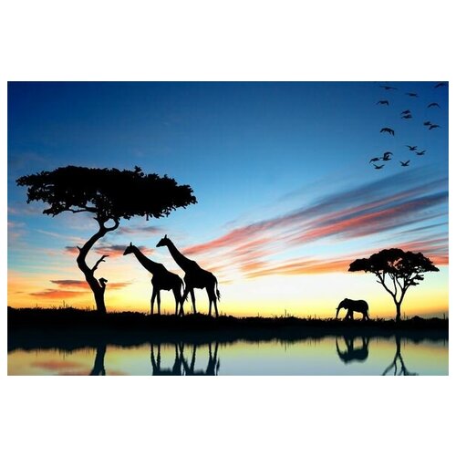        (Wild Animals of Africa) 45. x 30.,  1340 