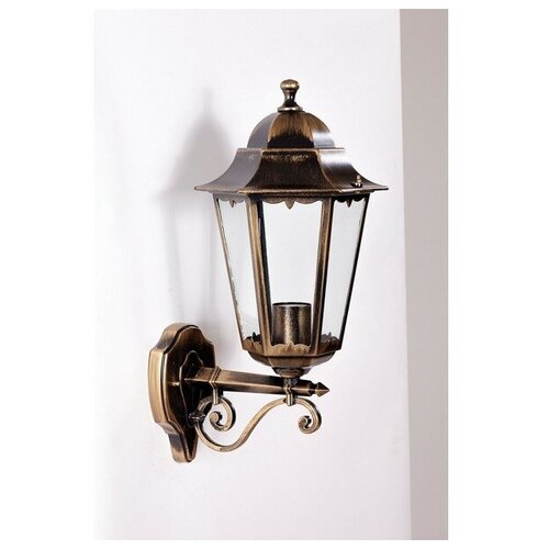  3043   PETERSBURG 79801M/02 Gb Oasis Light M