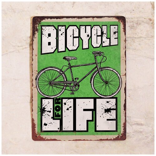  1275    Bicycle for Life, , 3040 