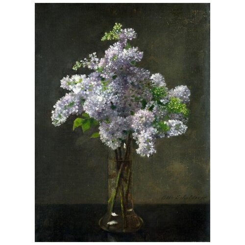  1260     (Lilac) 1   30. x 41.