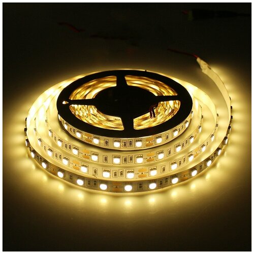  2200   SMD5050-60LED-12V Double line standart 5. -  :  3000-3500K