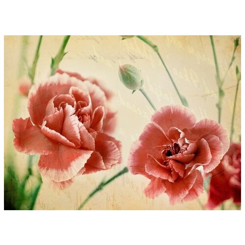       (Red flowers) 5 54. x 40.,  1810 