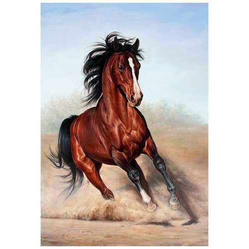  2640     (Horse) 10 50. x 73.