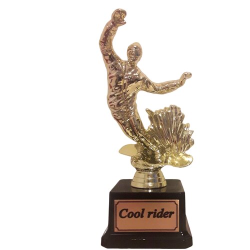 ������ 2950� ��������� Cool rider