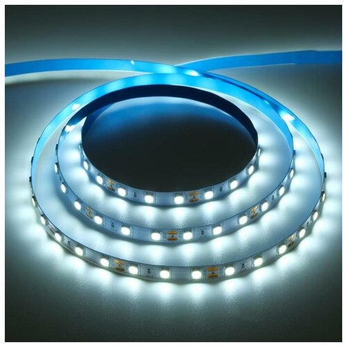  915   TruEnergy, 12, Smd5050, 5 , Ip20, 14.4 /, 60 LED/, 6000K 9610282