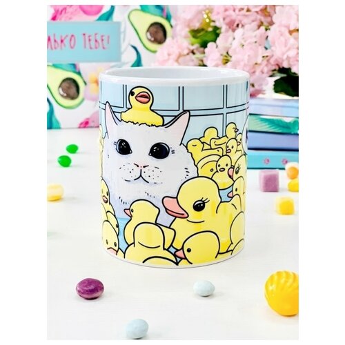  349  Sweet Cat Shop   