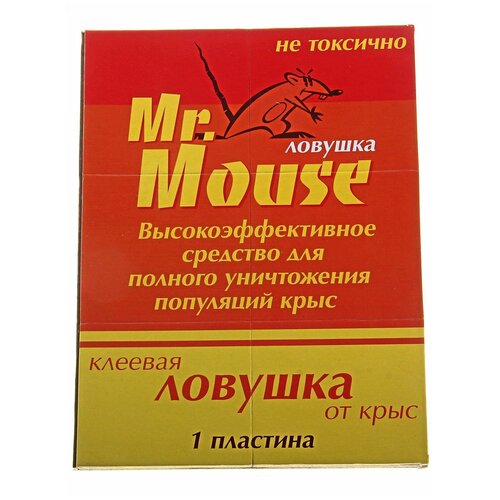  229     Mr.Mouse,  , 1