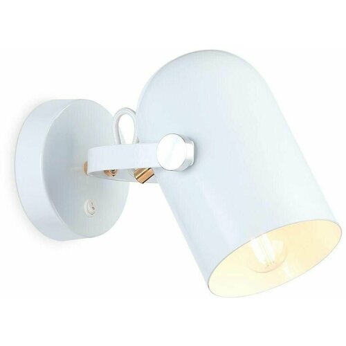  3639  Ambrella Light Traditional TR8202