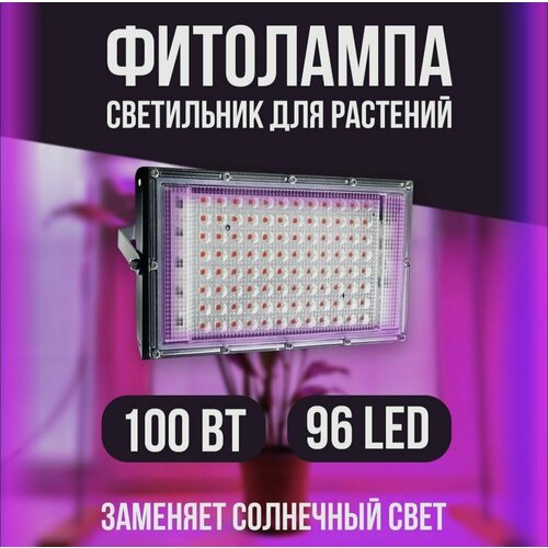  1550  100 .         ,  ,   LED   