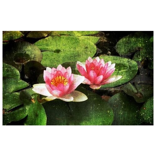  2060     (Water Lilies) 2 64. x 40.