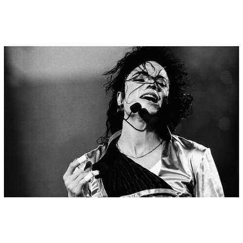  2760      (Michael Jackson) 3 78. x 50.