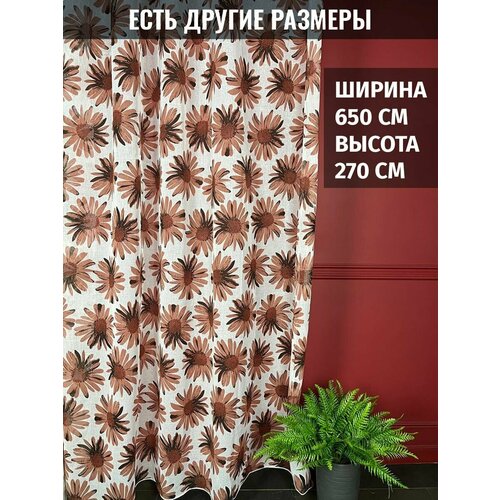 ������ 4172� ������� ����� ���� � ��������� �������, ������ 650x270 ��