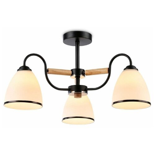  3885    Ambrella Light Modern TR3033241