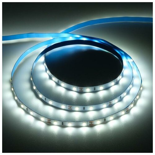  583   Ecola PRO 5 , IP20, SMD5060, 60 LED/, 11 /, 12 , 6000