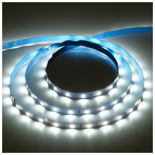  366   Ecola PRO 5 , IP20, SMD3528, 60 LED/, 4.8 /, 12 , 6000