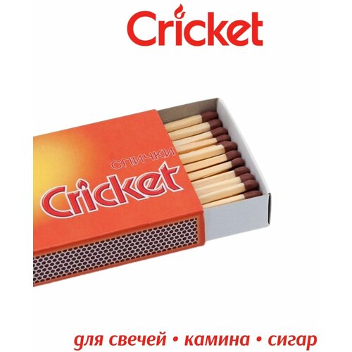  255   Cricket