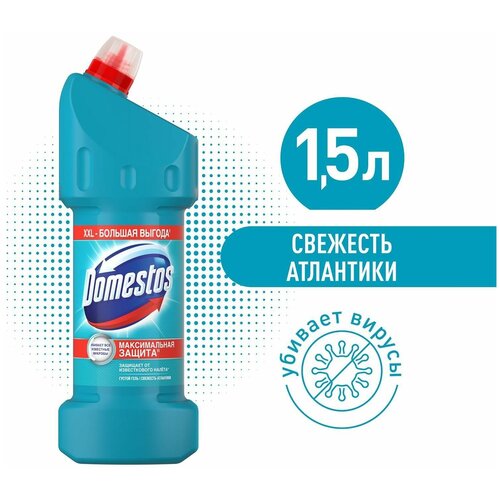  1017   Domestos          1.5