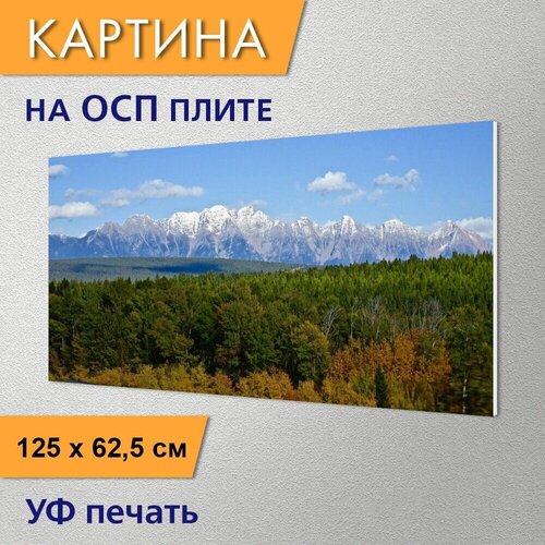 ������ 2960� �������������� ������� 