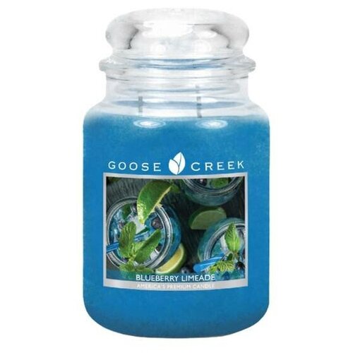  2300   GOOSE CREEK Blueberry Limeade 75 ES16473-vol