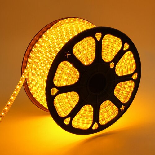  19152   LED 220, 13x8 , IP67, SMD 5050, 60 LED/m,   100  Neon-Night