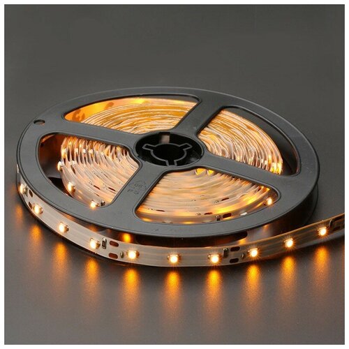  1700   SMD 3528-60LED-IP33 12  5. -  :