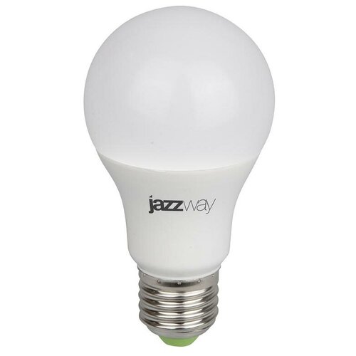  780 Jazzway  PPG A60 Agro 15w Frost E27 IP20   5025547 .