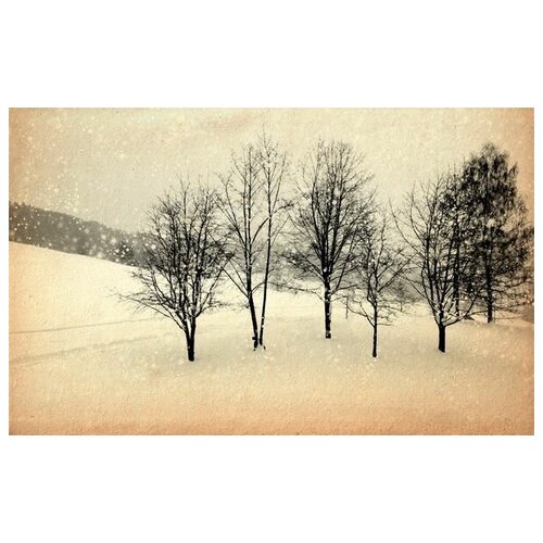      (Winter) 19 48. x 30.,  1410 