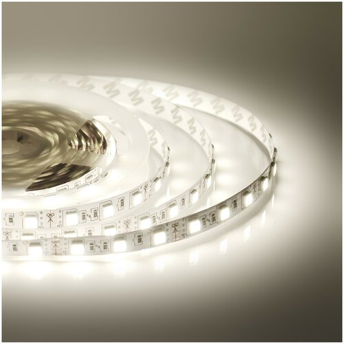  1700    smd 5050, 12, 700/, IP20,   10,  + , 5 .