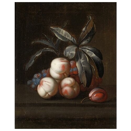  1710     (Peaches) 5 40. x 50.